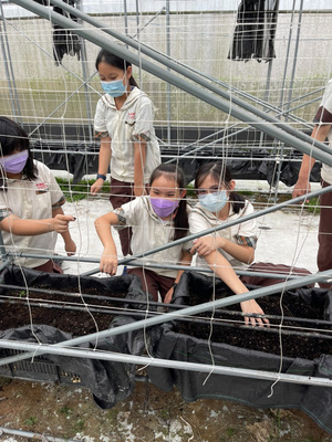 311489593_477311477753072_6969907557072150245_n圖片