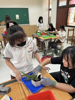 農業經營1120911_2圖片