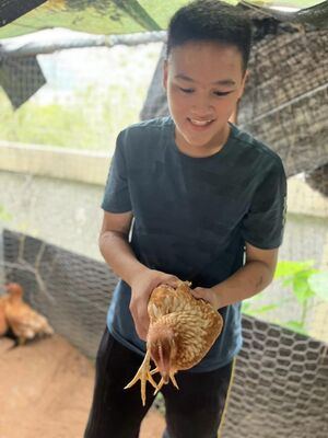 農業經營1120509_2圖片