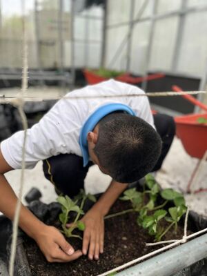 農業經營1121016_1圖片