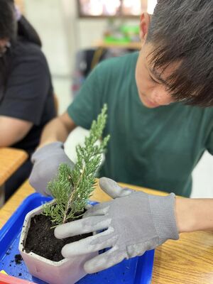 農業經營1120911_1圖片